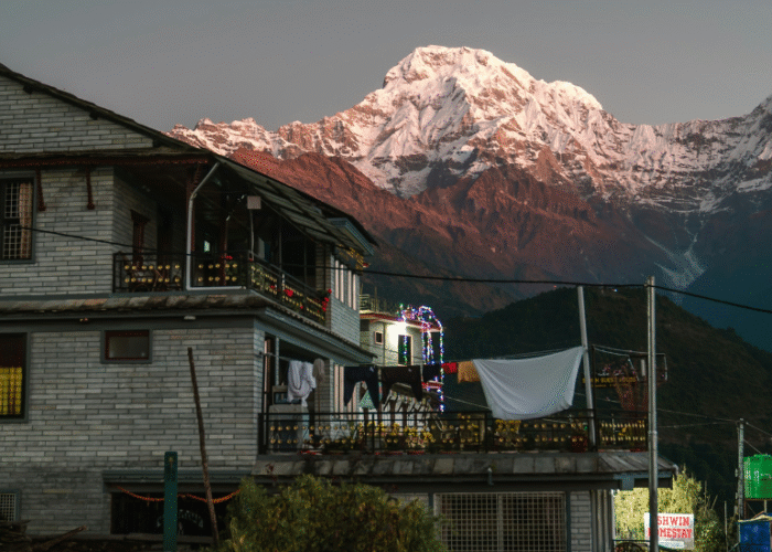 Homestays vs Hotels Community Impact