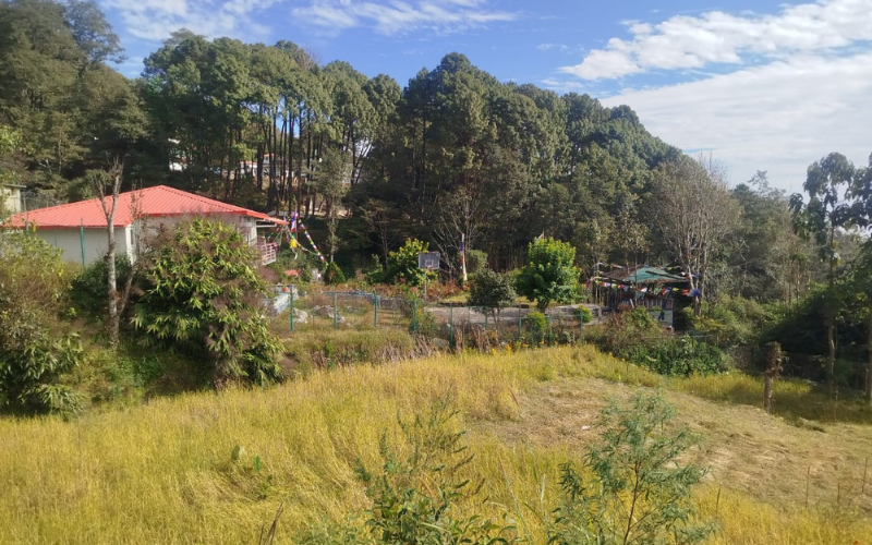 homestays vs hotels community impact